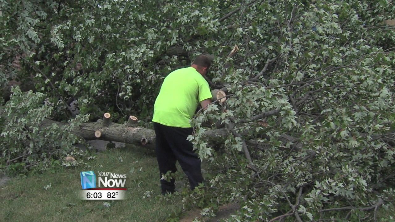 Lima begins tree clean up following Wednesday storm 2.jpg